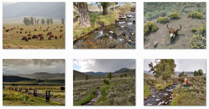 The landscape seen at Lamar Buffalo Ranch